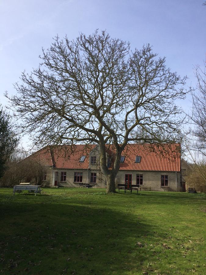 Pillemark Gammel Skole B&B Екстериор снимка